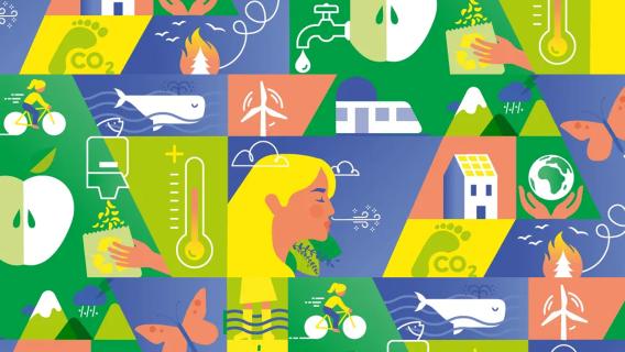 Journée mondiale de l’environnement : l’INSP en action | Institut ...